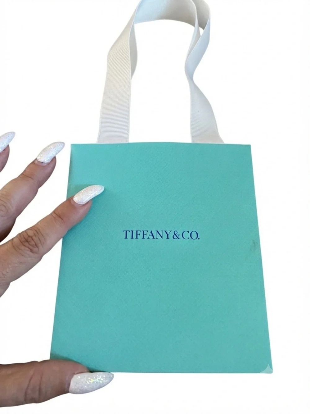 Tiffany & Co. Signature Blue Gift Bag and Drawstring Pouch